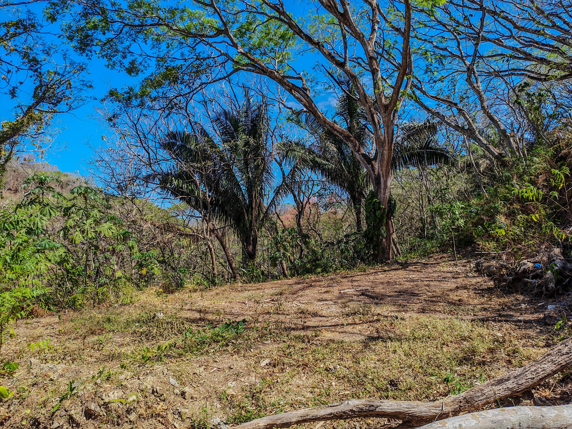 Terrain tropical avec vue sur l'océan à vendre, Sámara, Costa Rica Terrain tropical avec vue sur l'océan à vendre, Sámara, Costa Rica
