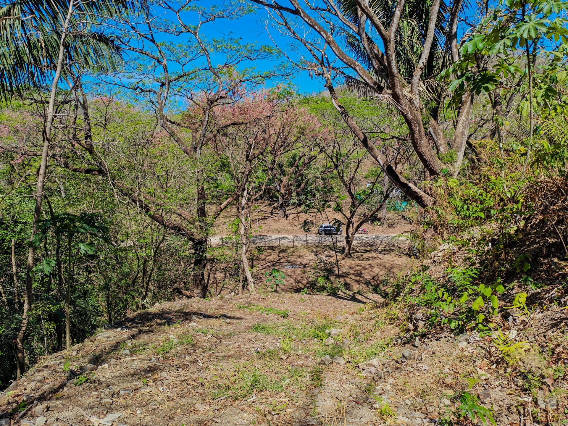 Terrain tropical avec vue sur l'océan à vendre, Sámara, Costa Rica Terrain tropical avec vue sur l'océan à vendre, Sámara, Costa Rica