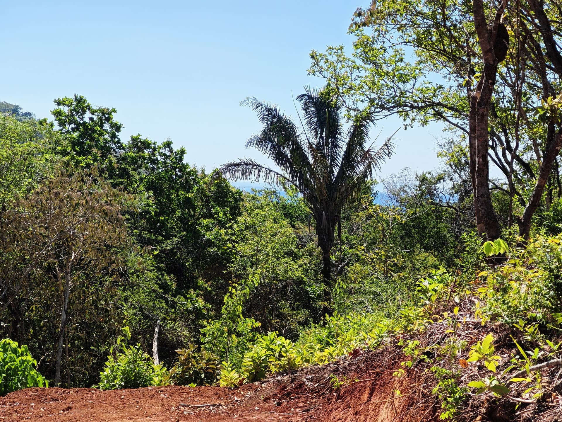 Lot 16 dans la communauté de Lomas de Punta Islita Lot 16 dans la communauté de Lomas de Punta Islita avec vue partielle sur l’océan