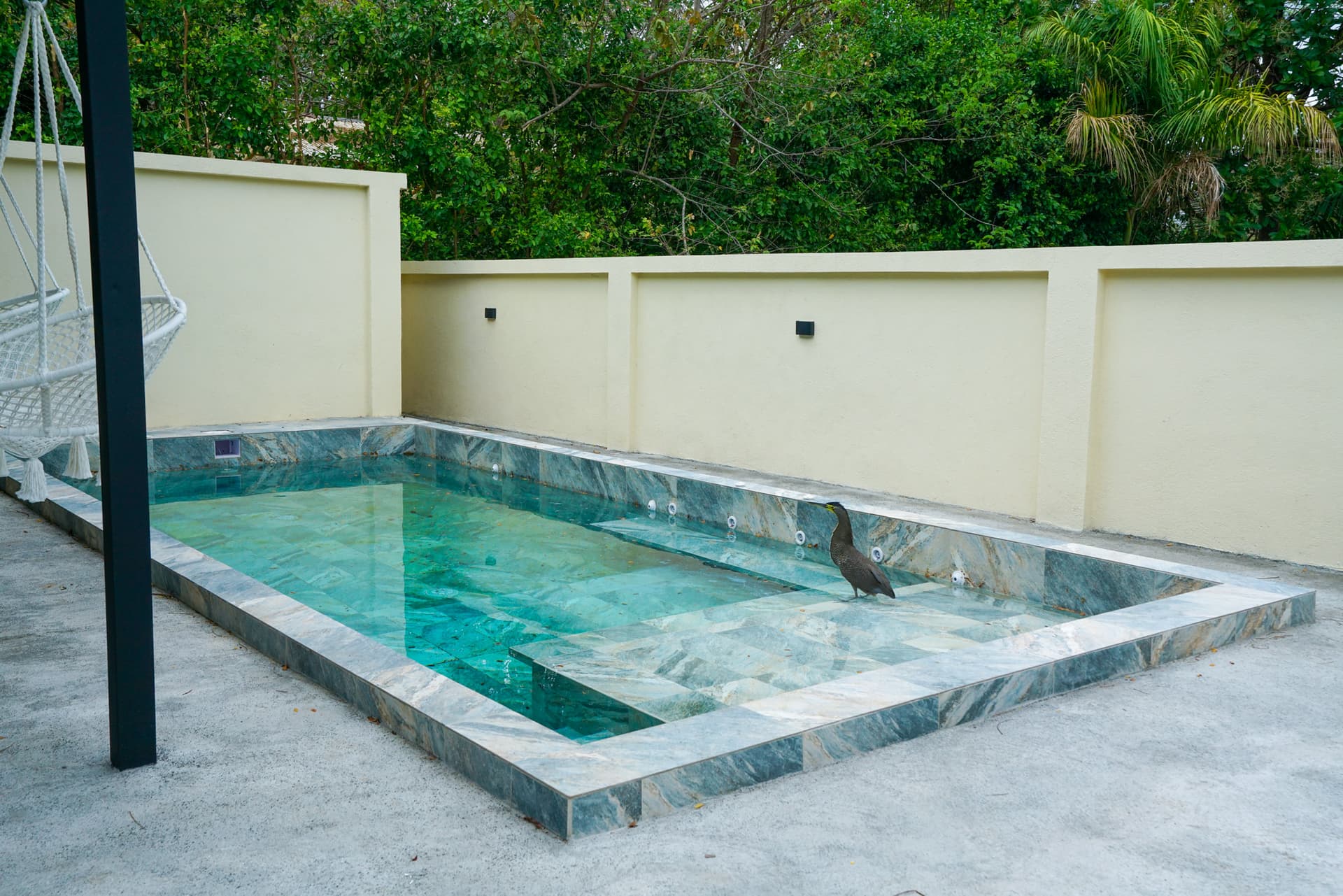 Villa Solarena Nice Piscine Villa Solarena avec piscine et jardin clôturé