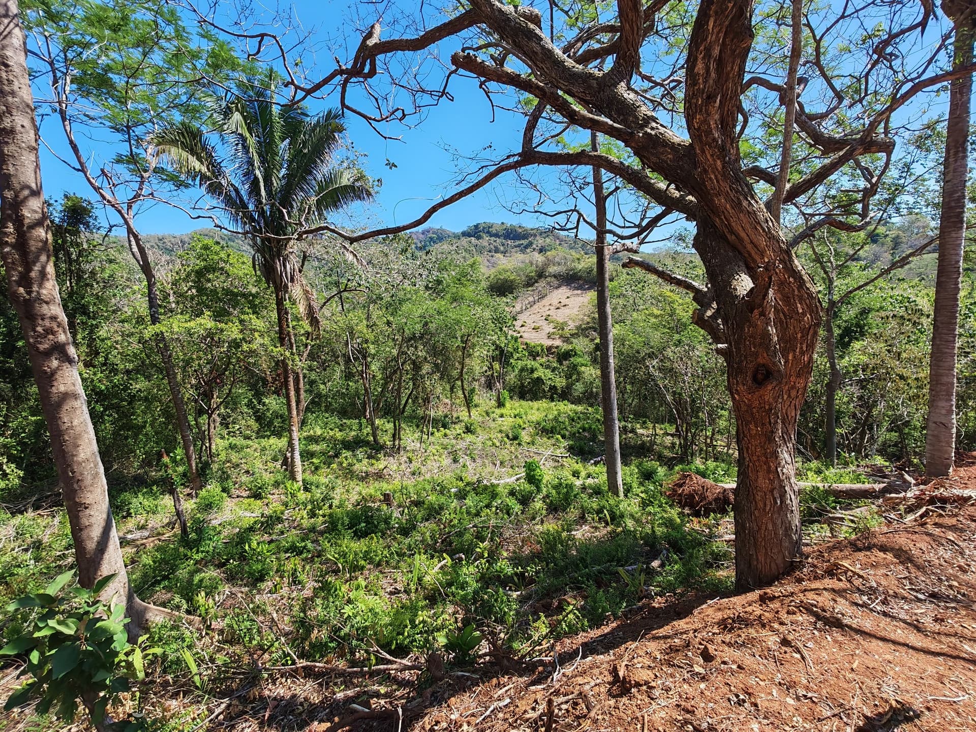 Lot 16 dans la communauté de Lomas de Punta Islita Lot 16 Communauté de Lomas de Punta Islita - vue sur la montagne