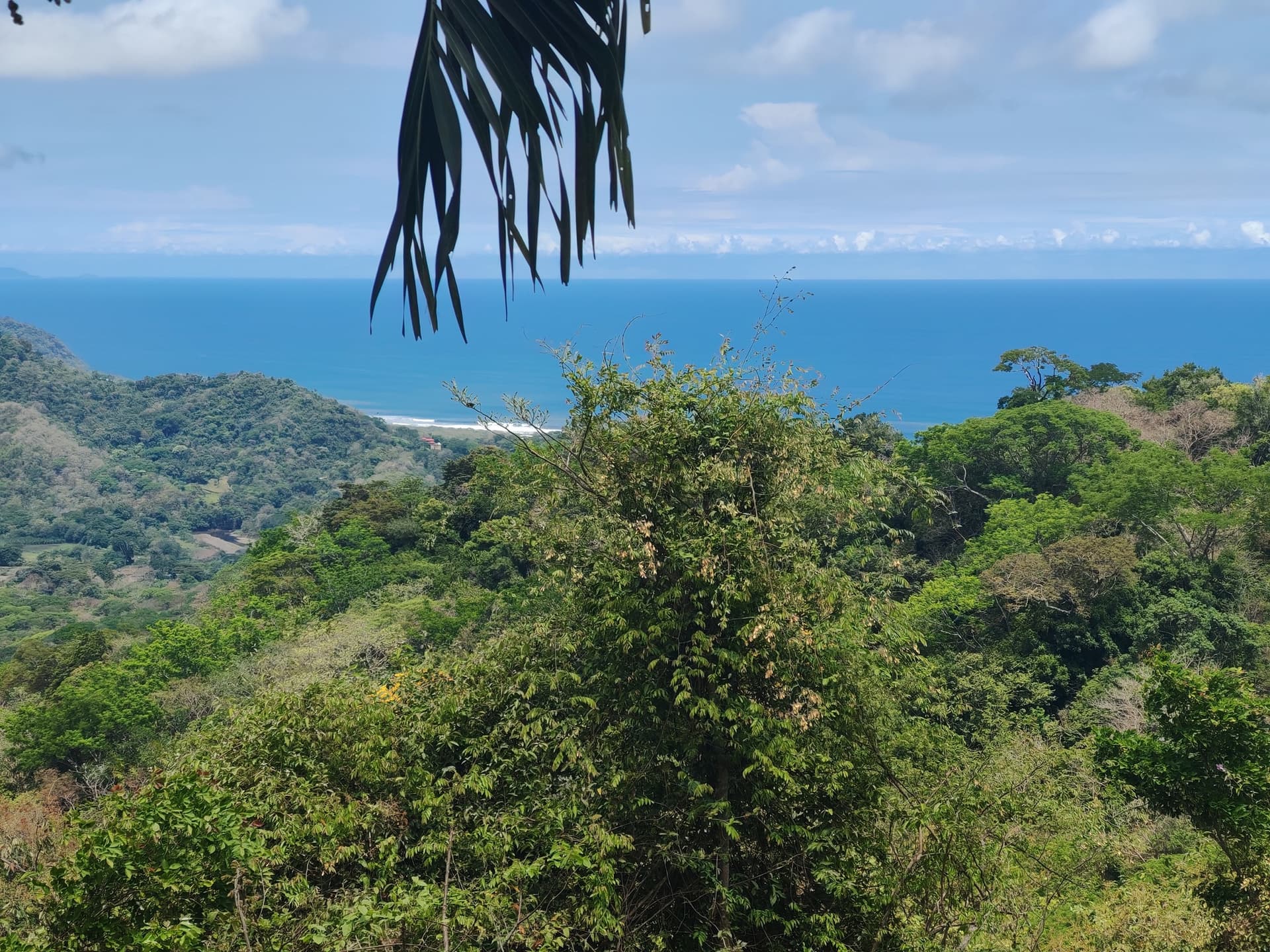Terrain Mirna-Ocean View à vendre, Playa Carrillo, Guanacaste Terrain Mirna-Ocean View à vendre, Playa Carrillo, Guanacaste