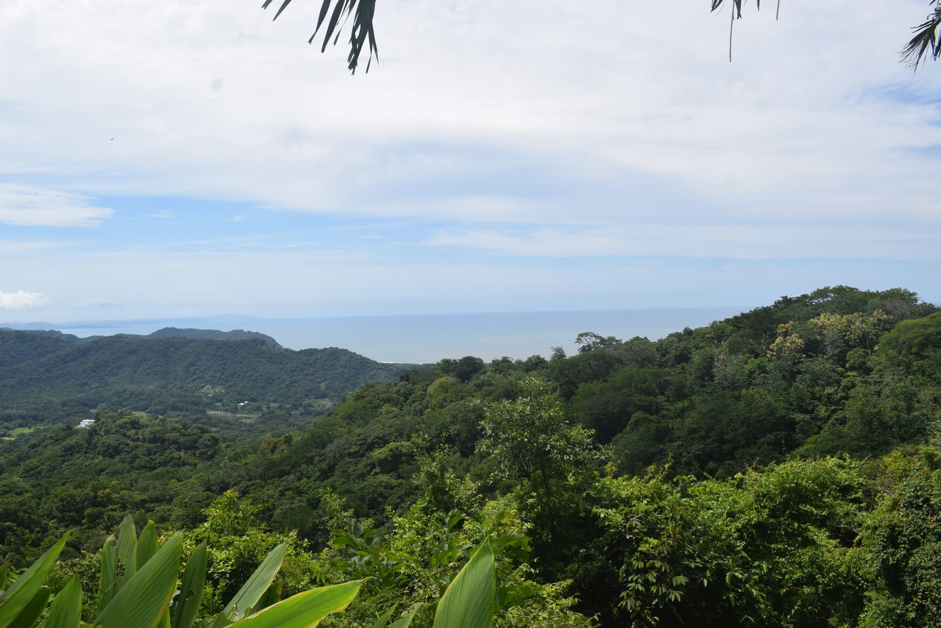 Terrain Mirna-Ocean View à vendre, Playa Carrillo, Guanacaste Terrain Mirna-Ocean View à vendre, Playa Carrillo, Guanacaste