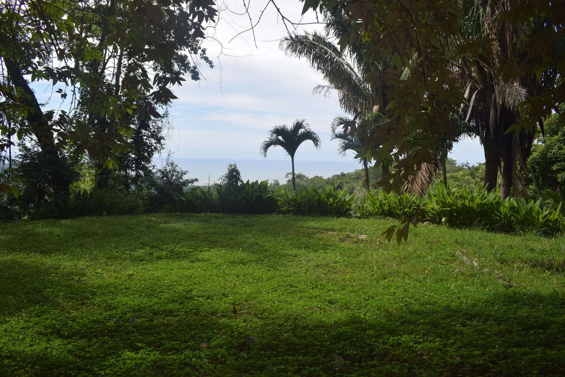 Terrain Mirna-Ocean View à vendre, Playa Carrillo, Guanacaste Terrain Mirna-Ocean View à vendre, Playa Carrillo, Guanacaste