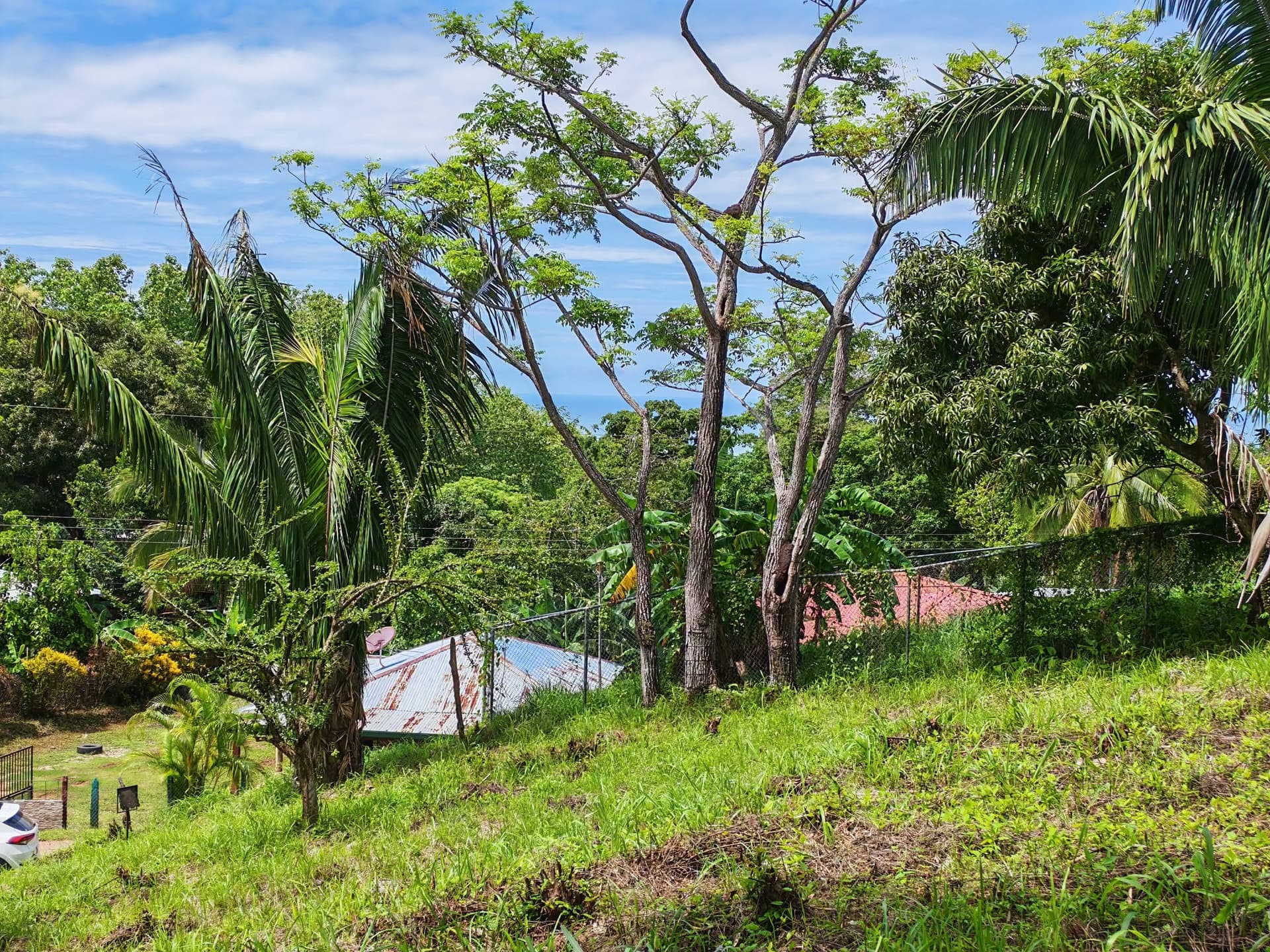 Terrain avec vue sur l'océan à vendre, Samara, Costa Rica Terrain avec vue sur l'océan à vendre, Samara, Costa Rica