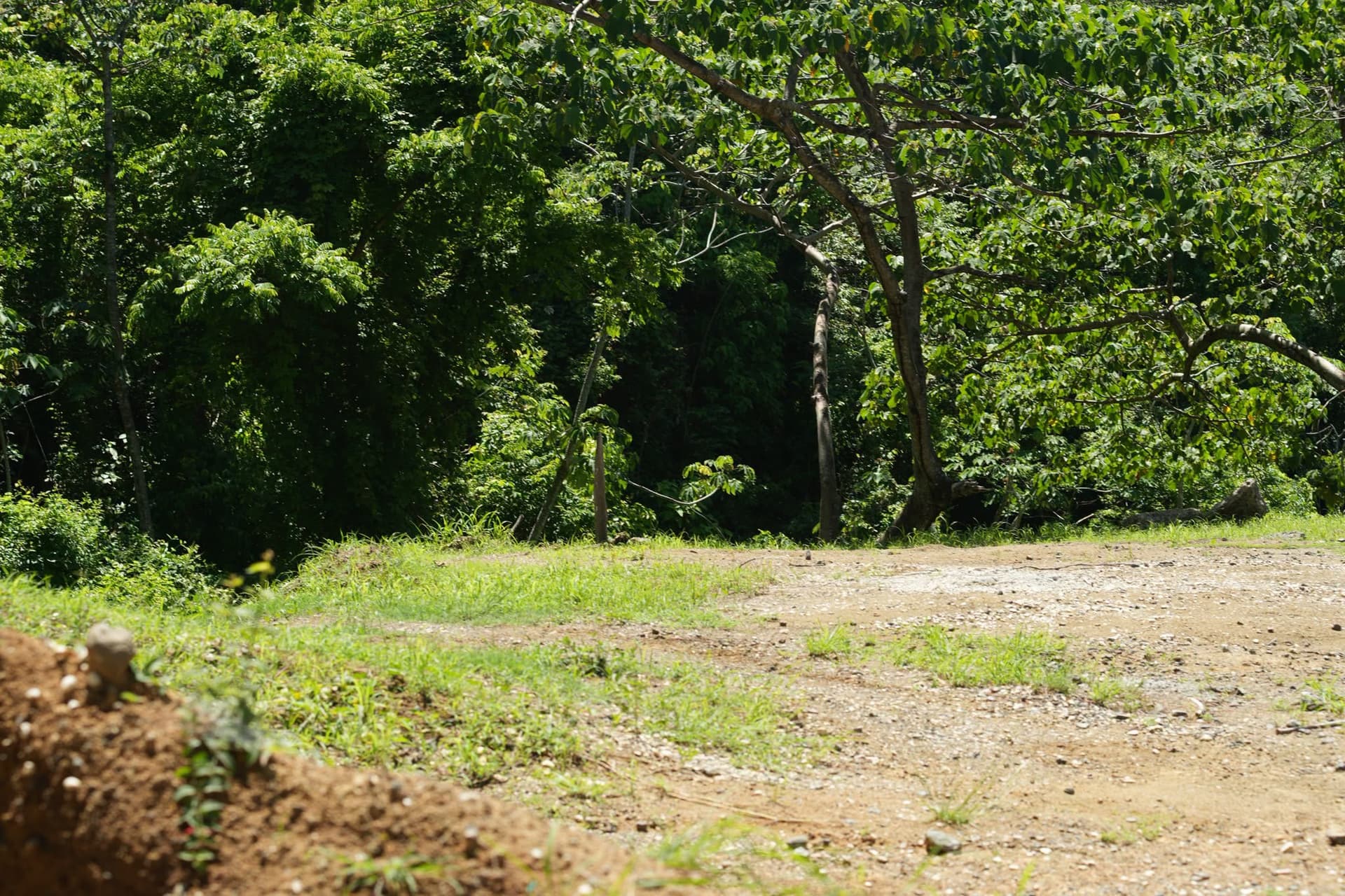 Terrain avec vue sur l'océan, à vendre, Playa Carrillo, Guanacaste Terrain avec vue sur l'océan, à vendre, Playa Carrillo, Guanacaste