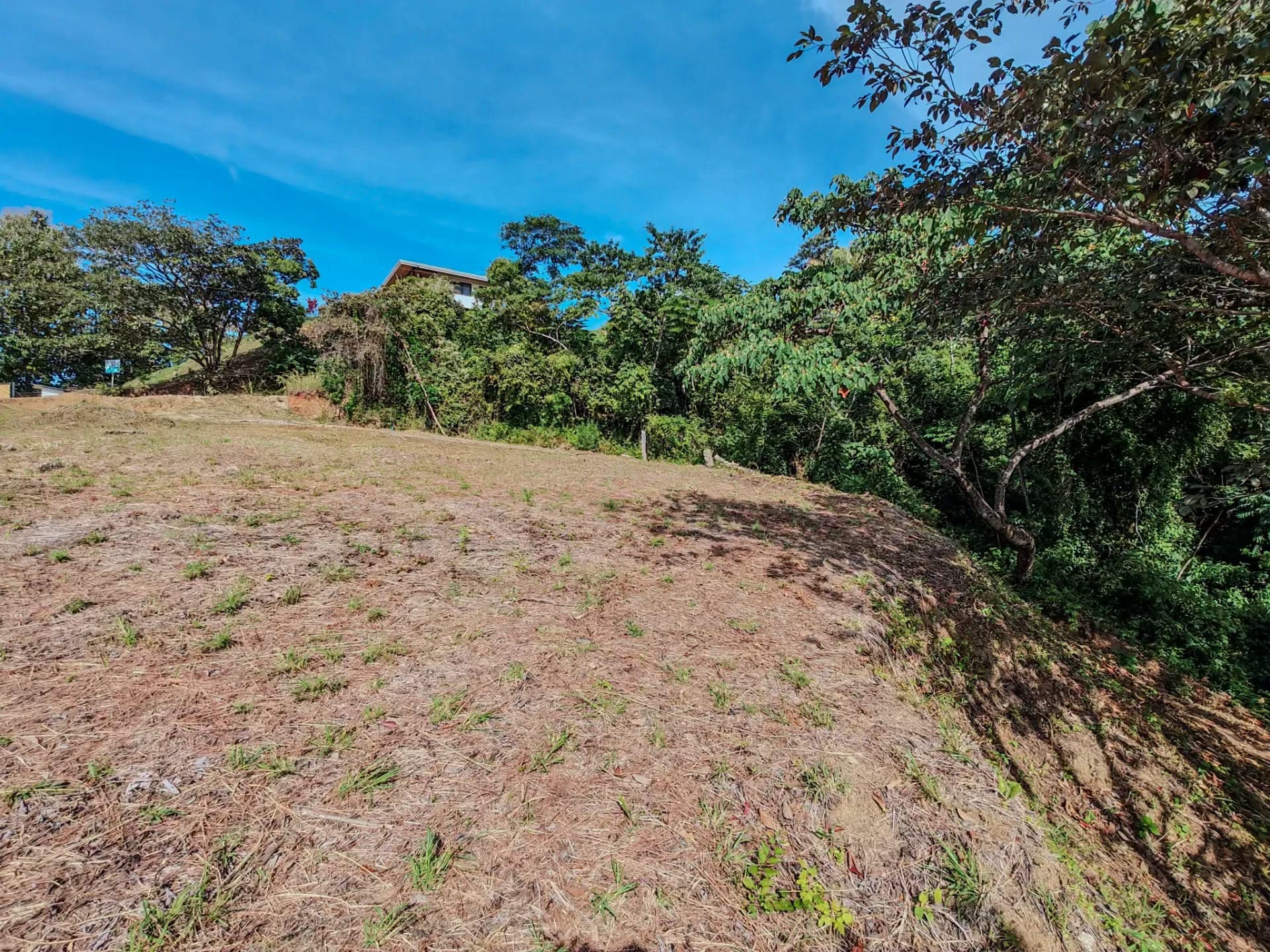 Terrain avec vue sur l'océan, à vendre, Playa Carrillo, Guanacaste Terrain avec vue sur l'océan, à vendre, Playa Carrillo, Guanacaste