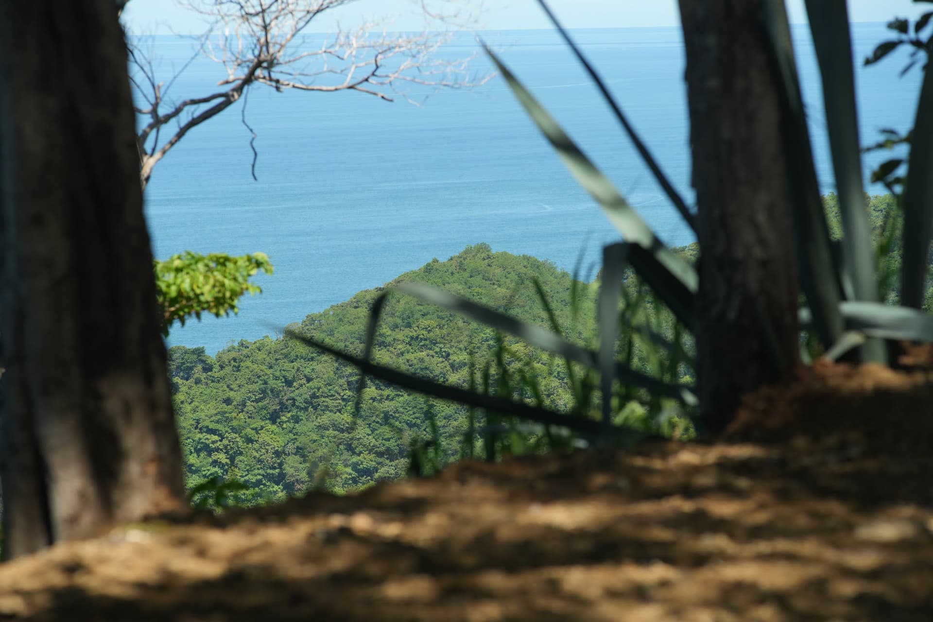 Terrain avec vue sur l'océan, à vendre à Punta Islita, Guanacaste Terrain avec vue sur l'océan, à vendre à Punta Islita, Guanacaste