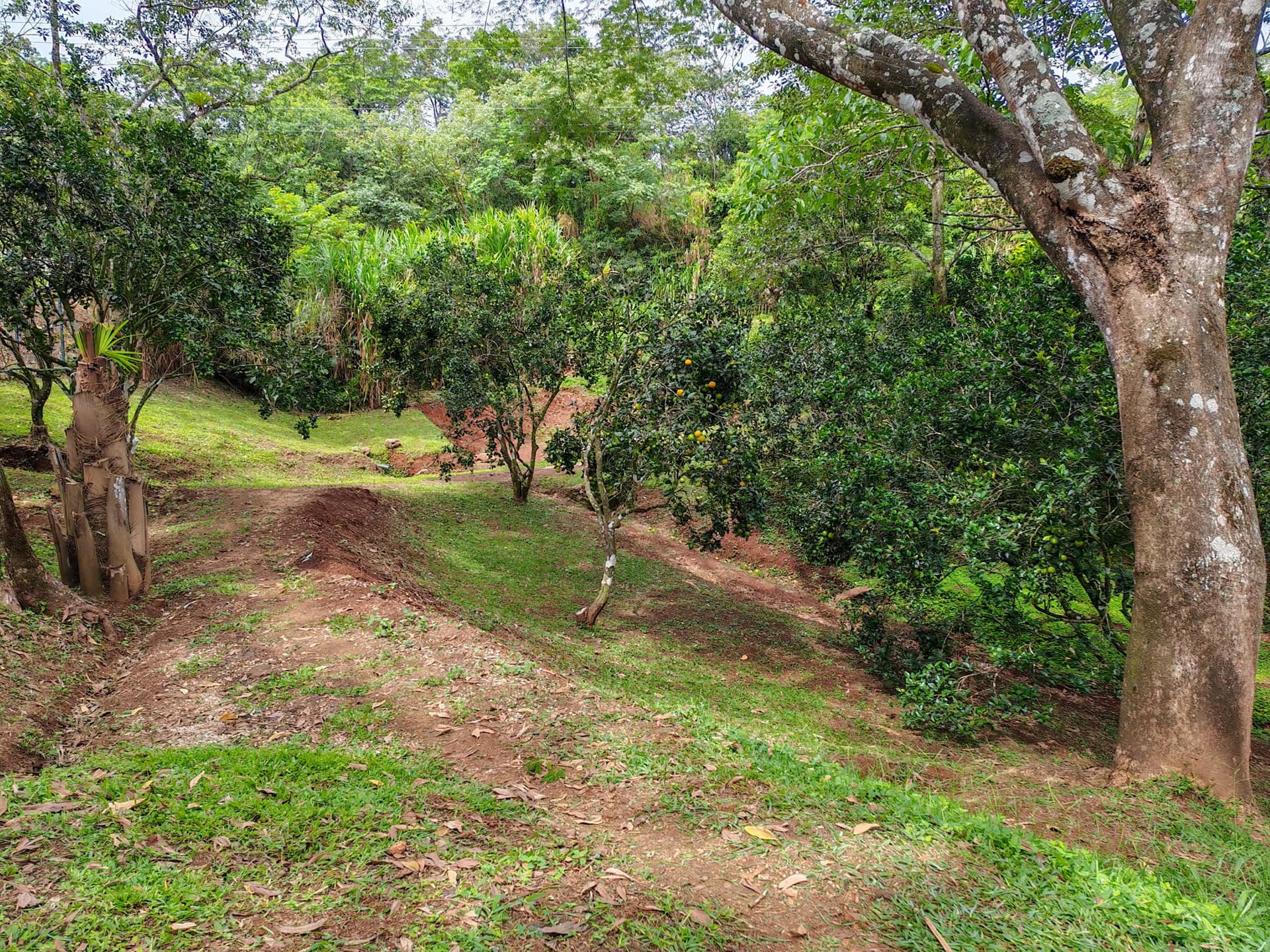 Maison Naranjas à vendre, près de Sámara, au Costa Rica Maison Naranjas à vendre, près de Sámara, au Costa Rica