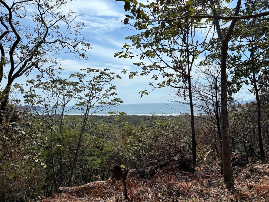 Propriété haut de gamme avec vue sur l’océan à Playa Guiones Propriété premium avec vue sur l’océan à Playa Guiones, prête à construire