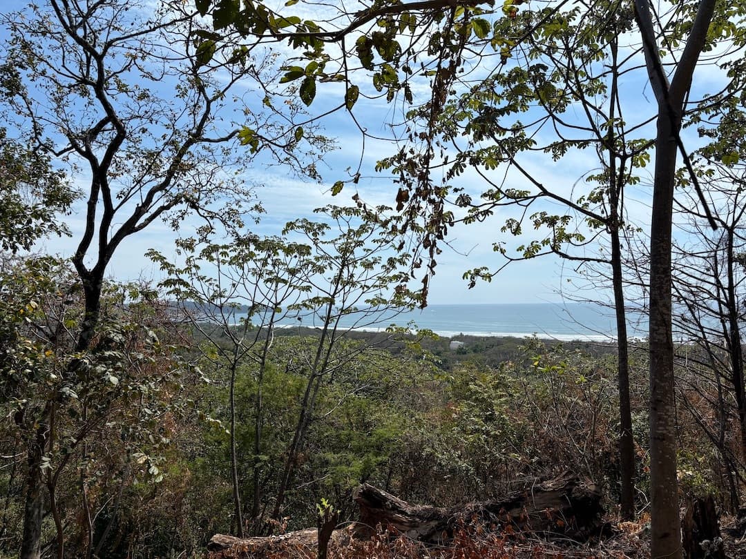 Propriété haut de gamme avec vue sur l'océan à vendre, Guiones, Nosara Propriété haut de gamme avec vue sur l'océan à vendre, Guiones, Nosara