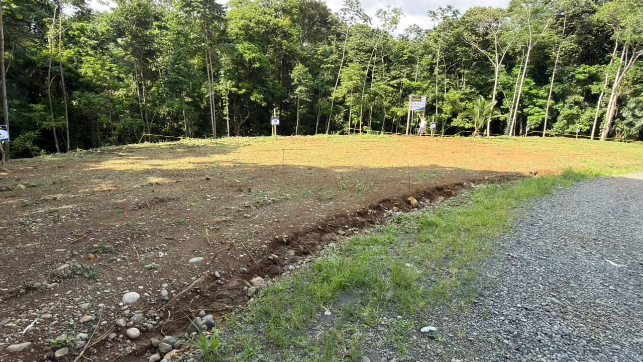 Cinq terrains au bord de la rivière à vendre à Siquirres, Limón Cinq terrains au bord de la rivière à vendre à Siquirres, Limón