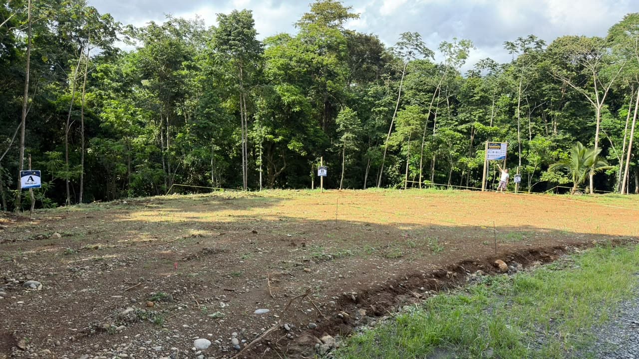 Cinq terrains au bord de la rivière à vendre à Siquirres, Limón Cinq terrains au bord de la rivière à vendre à Siquirres, Limón