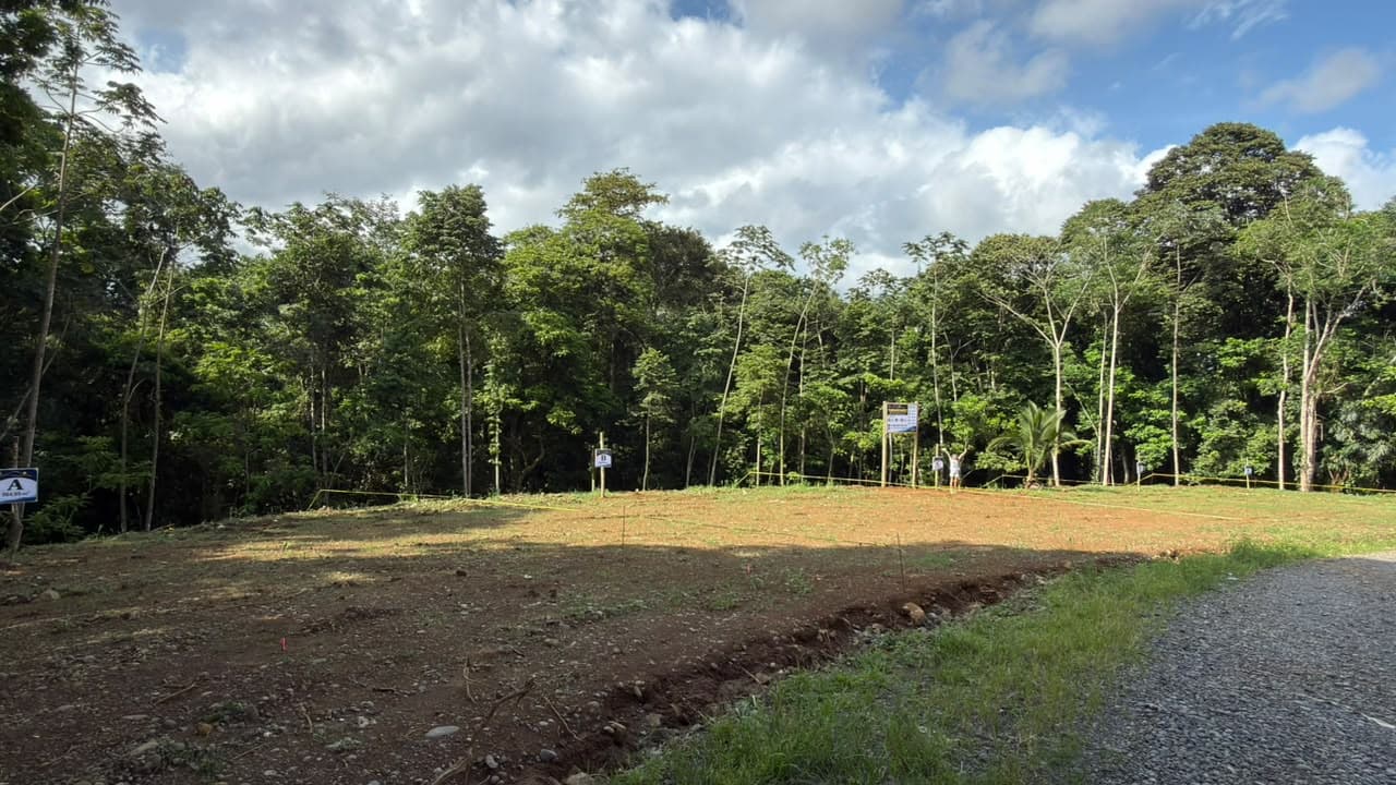 Cinq terrains au bord de la rivière à vendre à Siquirres, Limón Cinq terrains au bord de la rivière à vendre à Siquirres, Limón