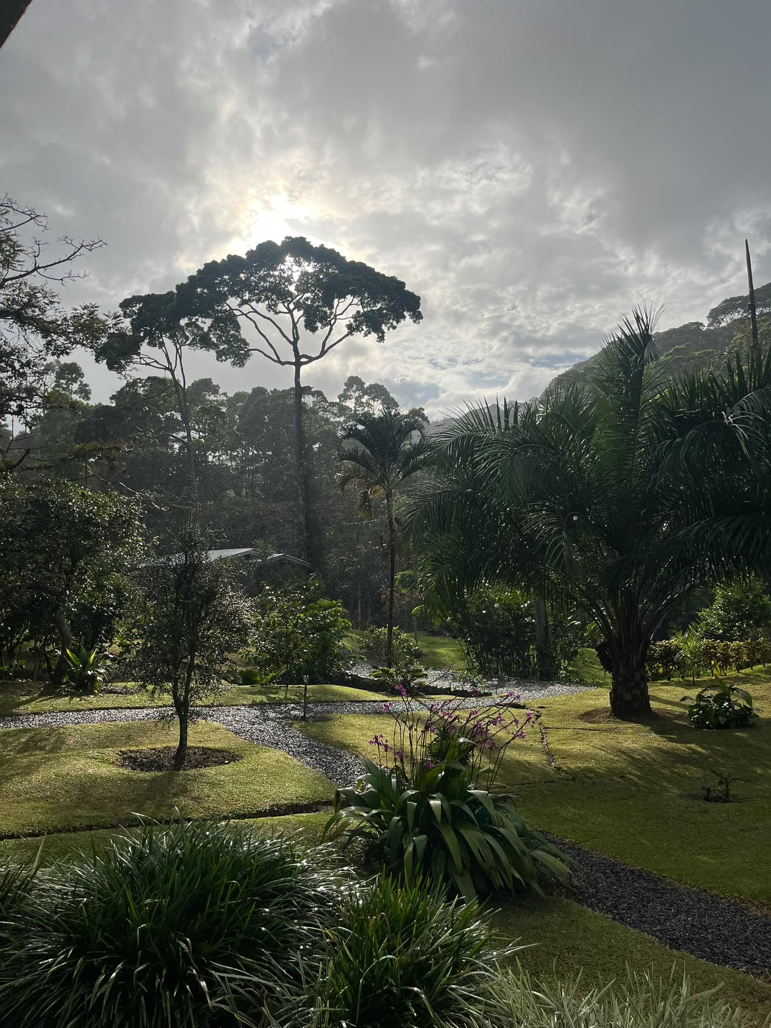 Siquirres, Limón – 9 hectares avec hébergements touristiques et piscine à débordement Siquirres, Limón – 9 hectares avec hébergements touristiques et piscine à débordement