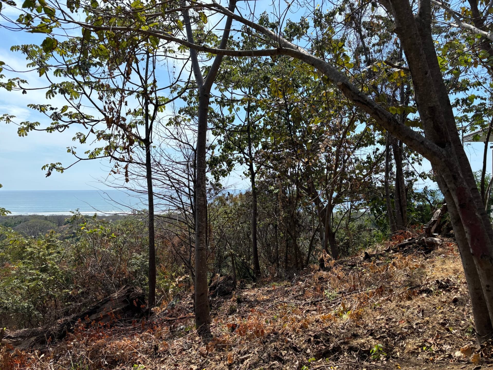 Propriété haut de gamme avec vue sur l'océan à vendre, Guiones, Nosara Propriété haut de gamme avec vue sur l'océan à vendre, Guiones, Nosara