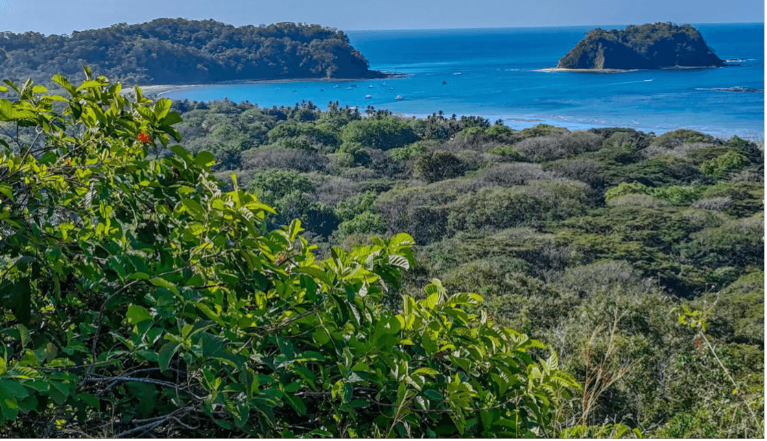 Propriété Santuario Marino, à vendre à Sámara, au Costa Rica Propriété Santuario Marino, à vendre à Sámara, au Costa Rica