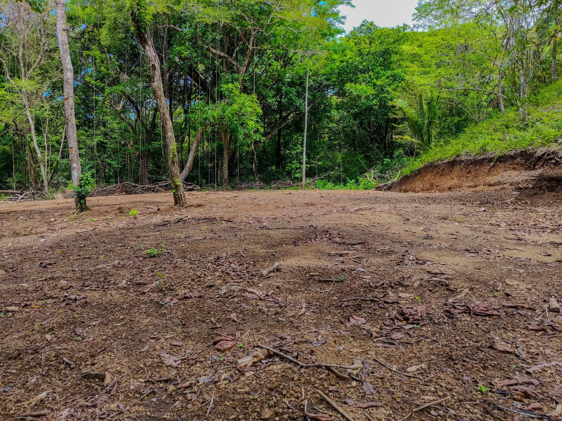 Zone de défrichement tropicale zone de défrichement tropicale lot rio escondido guanacaste