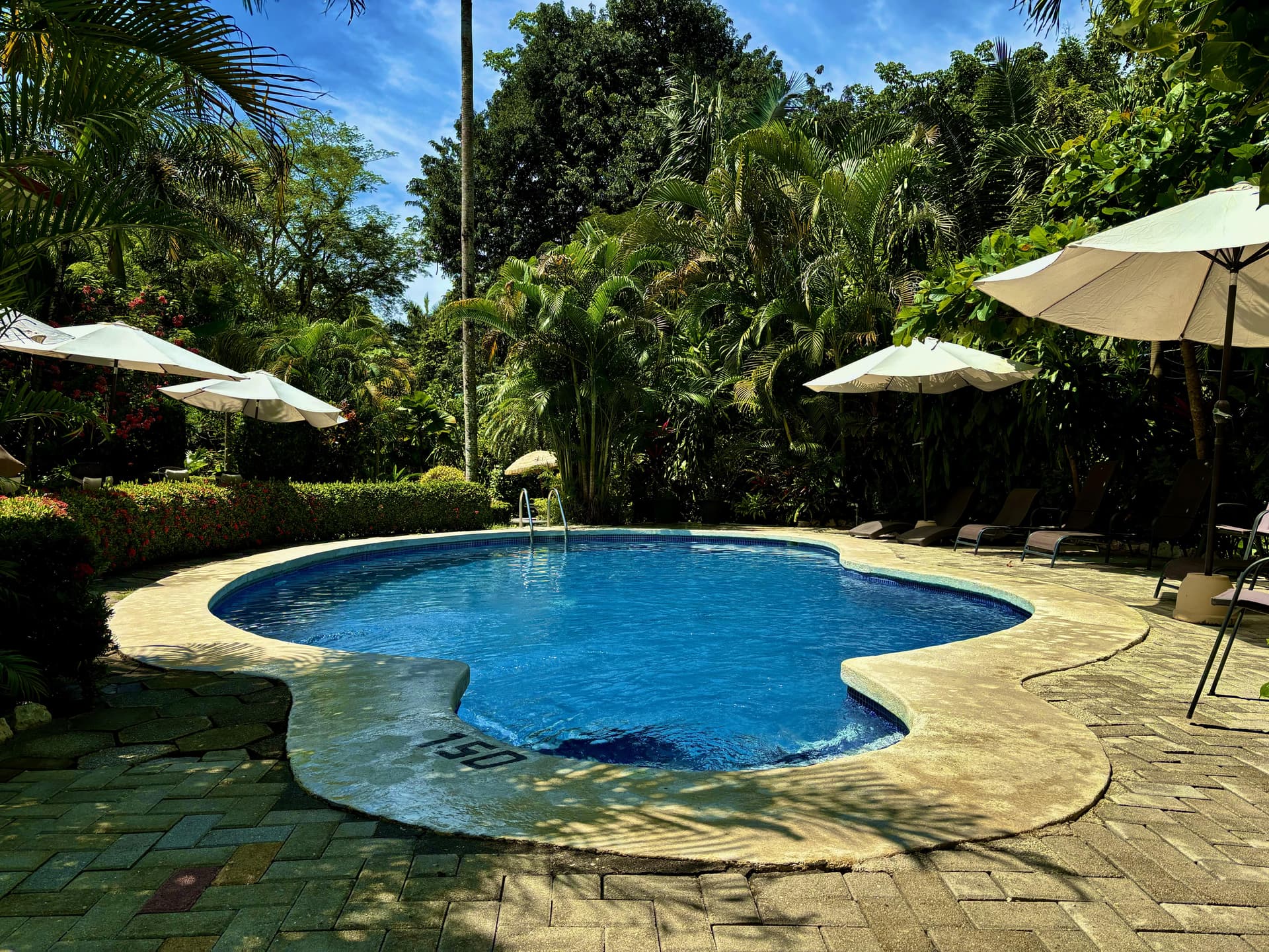 Hôtel Pool Oasis del Pacifico oasis de piscine de l’hôtel del Pacifico Samara, Costa Rica