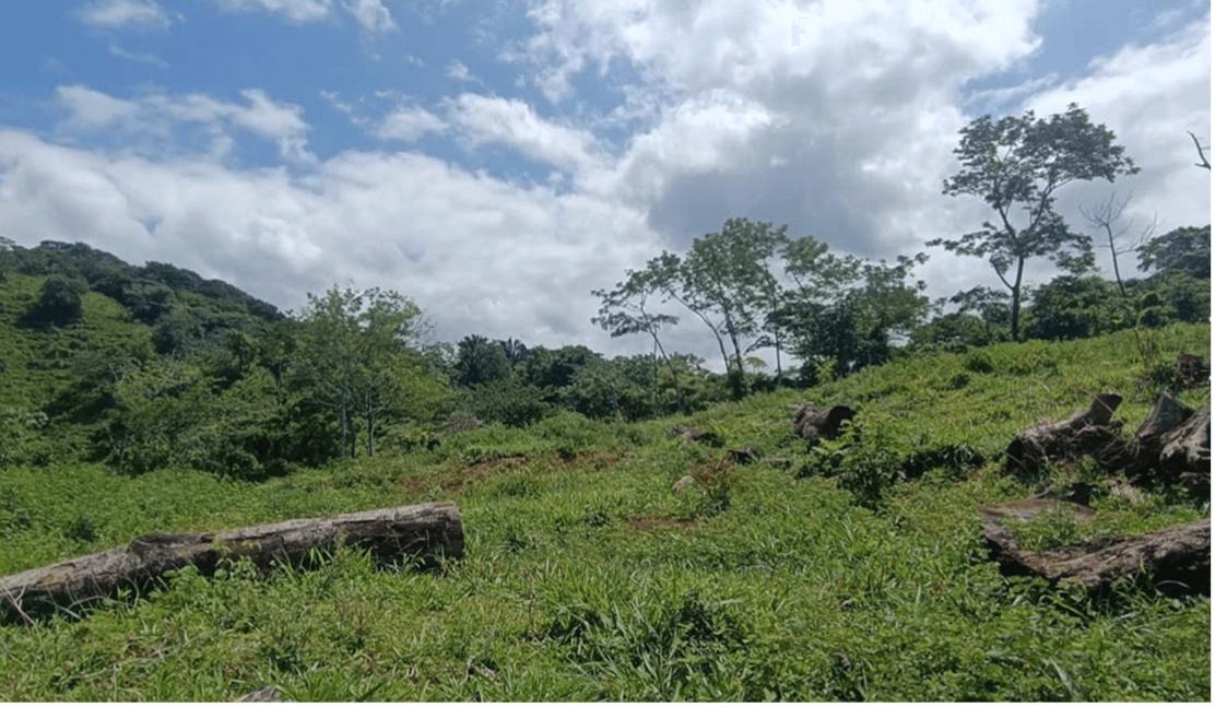 Propriété El Silencio, à vendre à Sámara, au Costa Rica Propriété El Silencio, à vendre à Sámara, au Costa Rica
