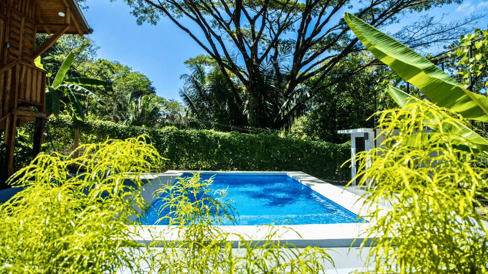 Piscine Cabañas El Descanso piscine tropicale entourée par la jungle aux cabañas el descanso samara
