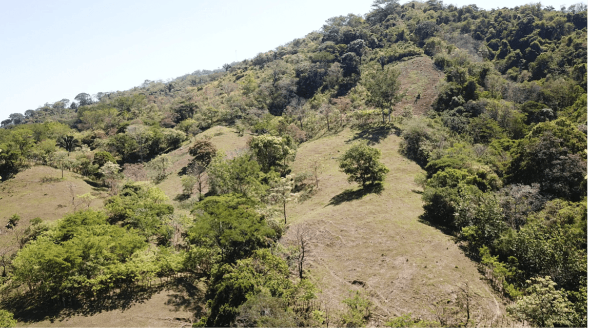 Vue aerienne du paysage de Finca Maquenco finca maquenco vue aerienne terrain panoramique samara costa rica