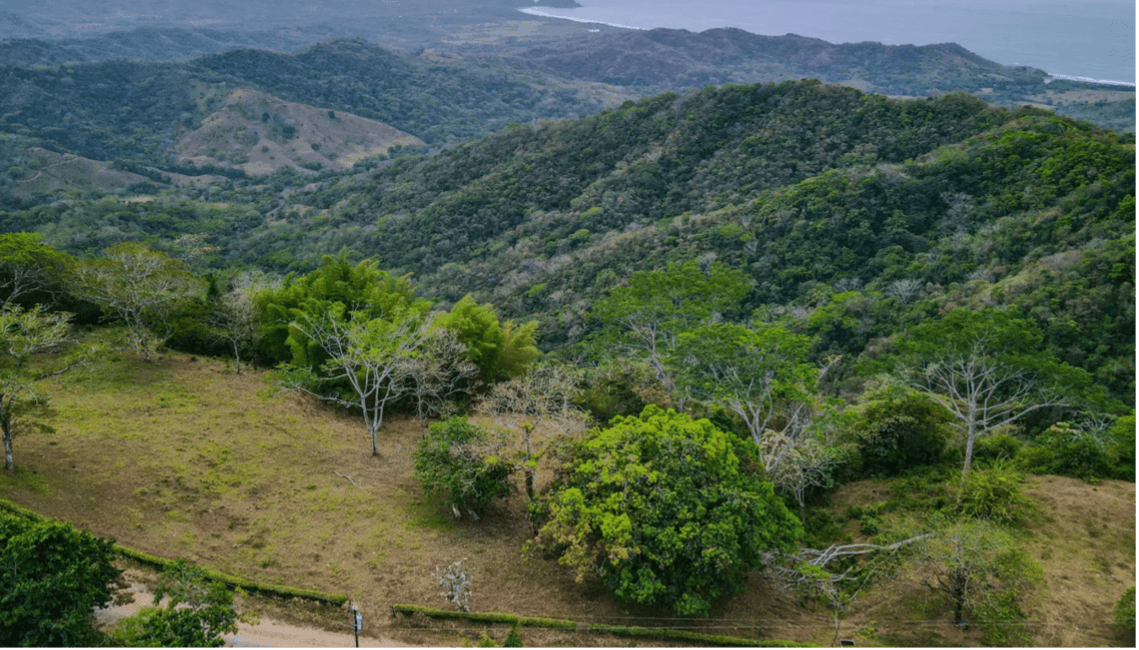 Propriété sur la colline avec vue sur l'océan finca avec vue sur l'océan punta islita