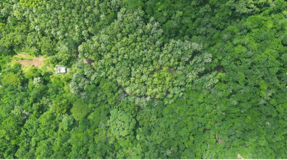 Vue aerienne principale de la Finca Paraiso Verde finca paraiso verde vue aerienne ocean terrain costa rica