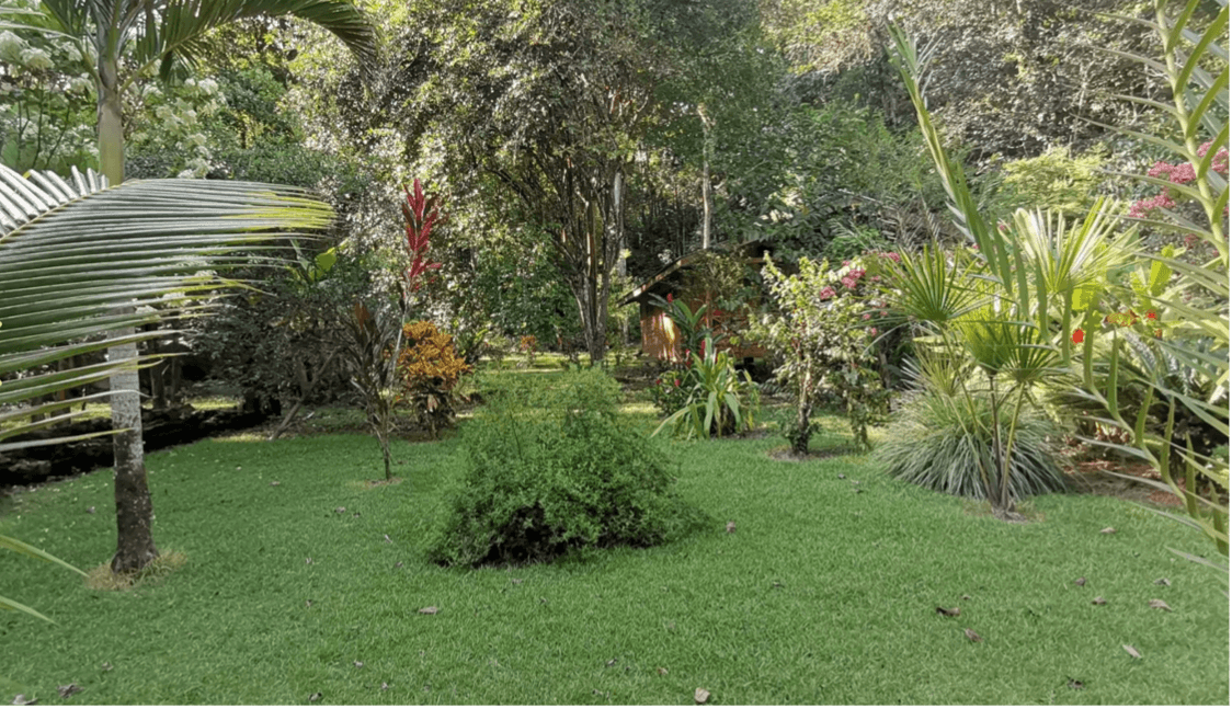 Propriété Majestic à vendre, Golfito, Guanacaste Propriété Majestic à vendre, Golfito, Guanacaste