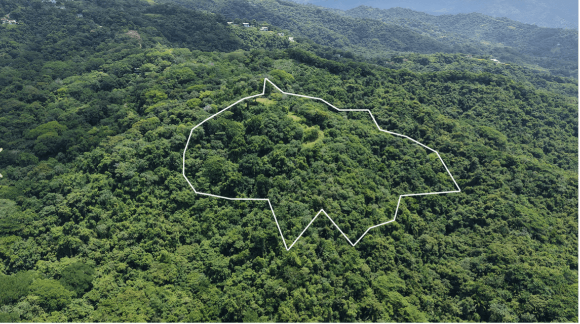 Vue aerienne d’ensemble de la Finca Refugio Verde finca refuge vert vue aérienne sur l’océan terrain Puerto Carrillo Costa Rica