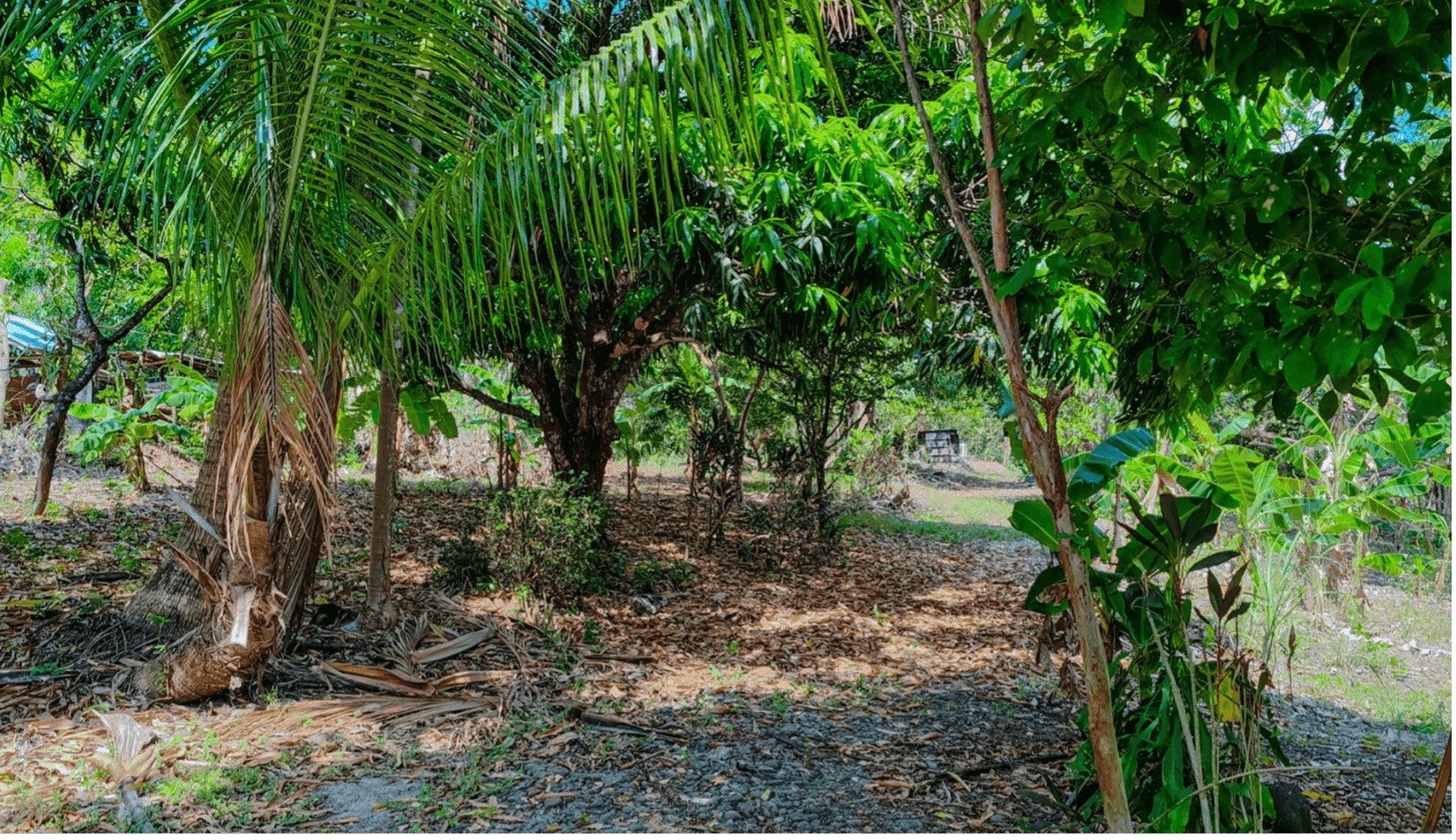 Propriété Montaña Verde, à vendre à Sámara, au Costa Rica Propriété Montaña Verde, à vendre à Sámara, au Costa Rica