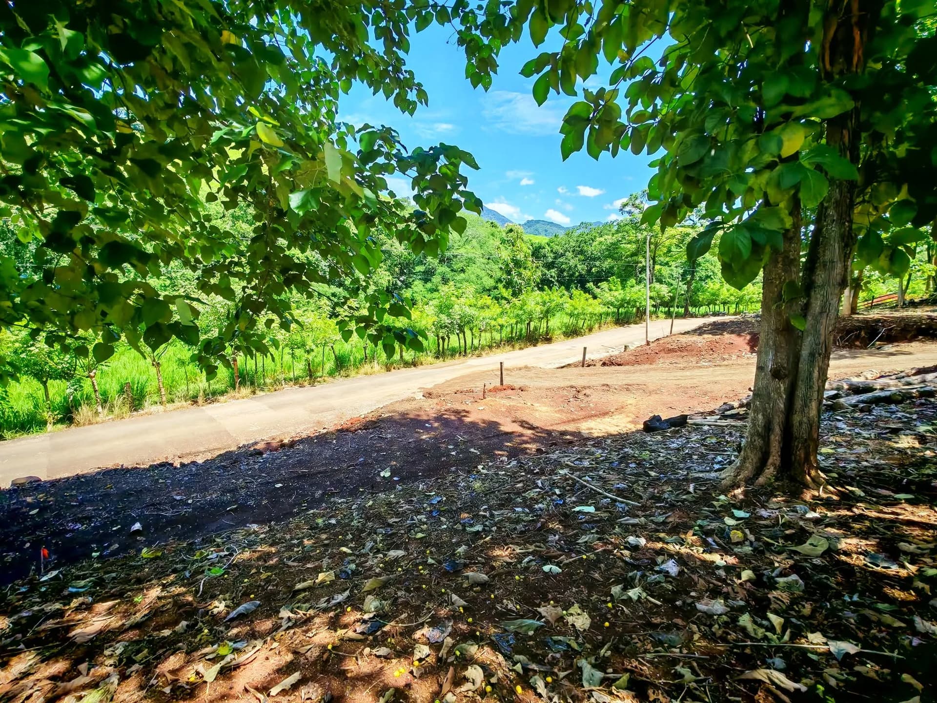 Vue d’accès routier accès par chemin de terre à côté du terrain Rio Lajas Costa Rica