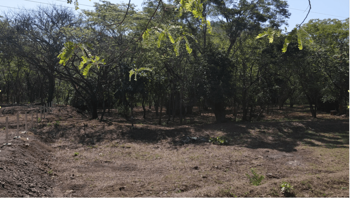 Lot 2 Samara Zone défrichée terrain défriché lot 2 samara costa rica terrain