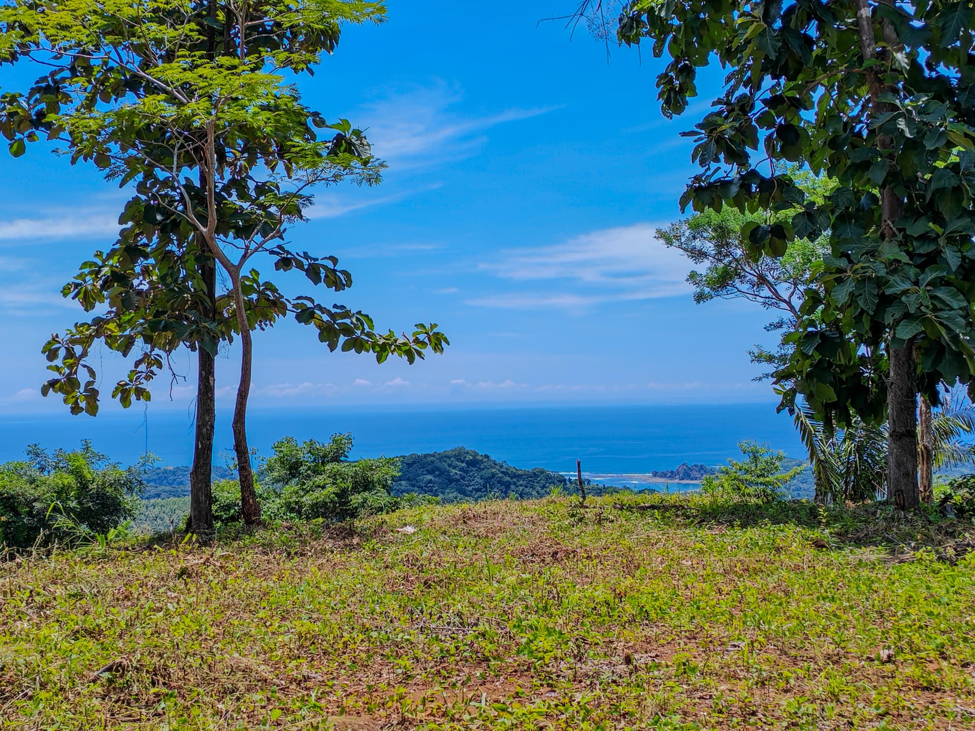 Dégagement avec vue sur l’océan zone dégagée avec vue sur la mer finca la catarata costa rica