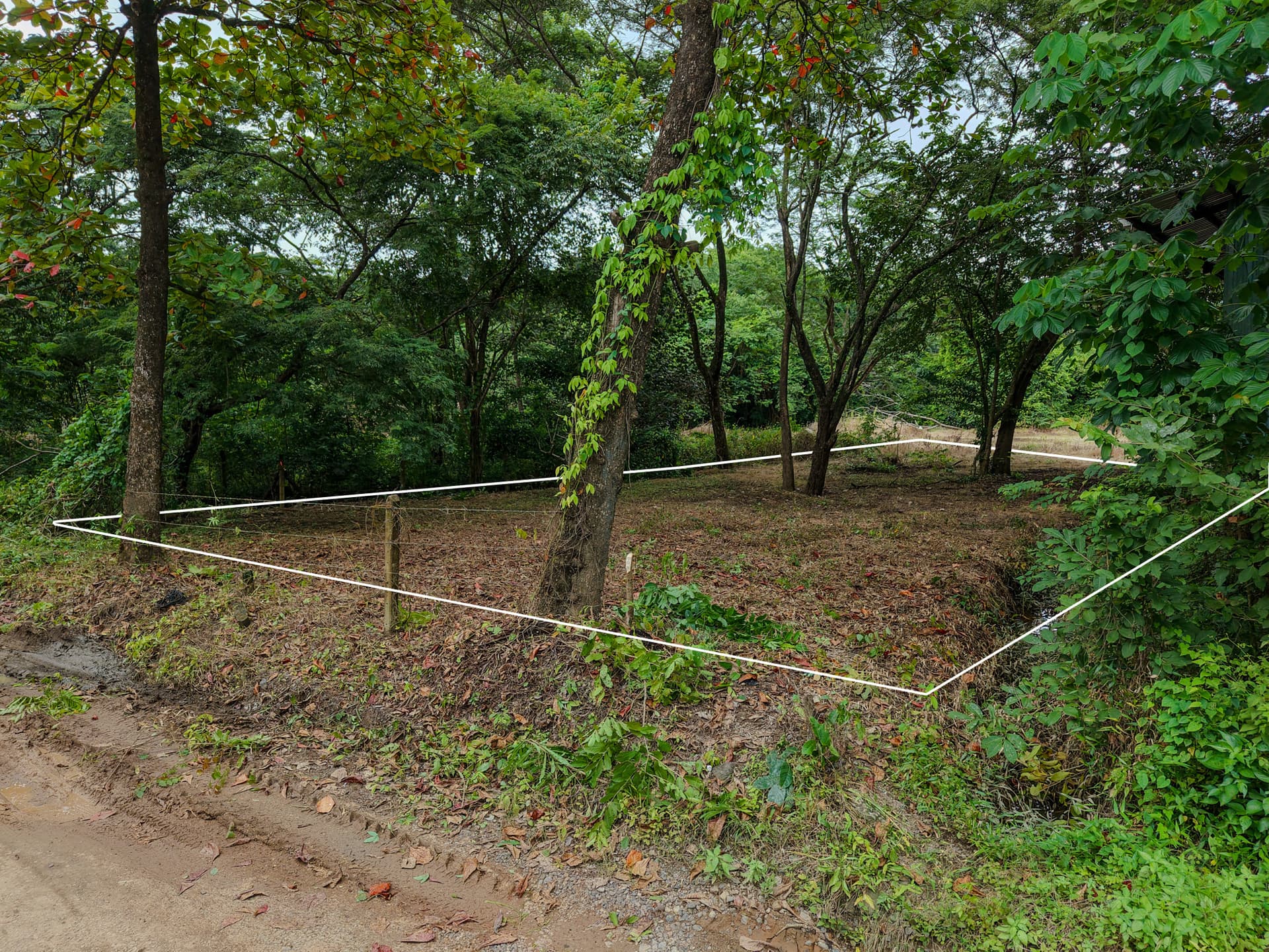 Terrain Plat Tropical terrain constructible tropical Samara