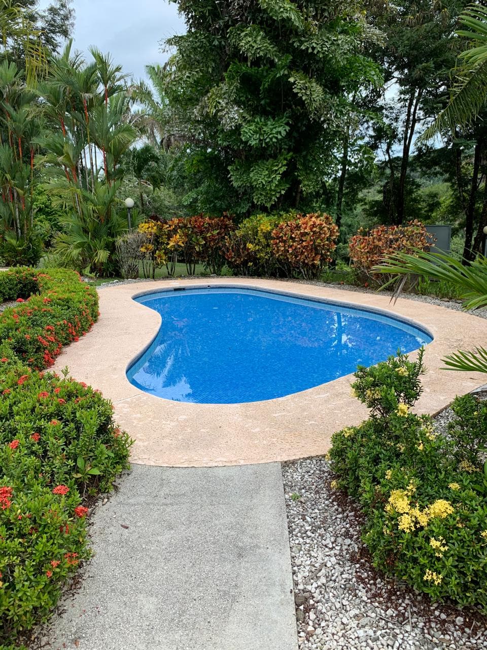 Piscine commune Jardin tropical piscine communautaire tropicale entourée de jardins loma verde carrillo