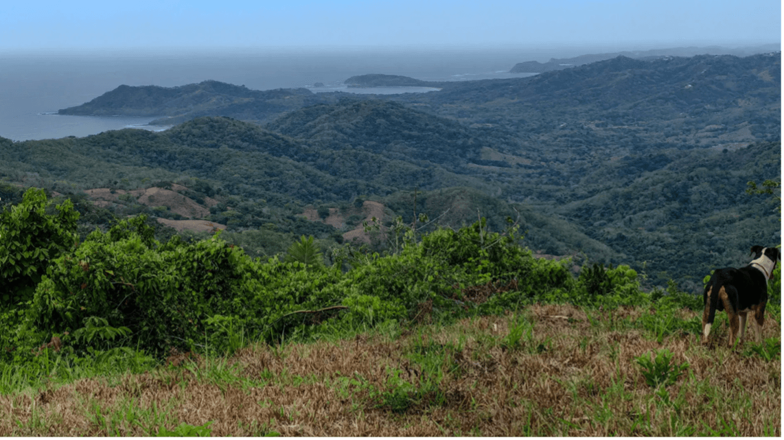 Paysage montagneux panoramique vues panoramiques sur les montagnes et l'océan costa rica