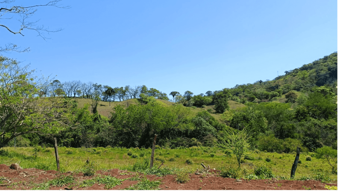 Finca Maquenco Vue ouverte sur la vallée finca maquenco avec vue ouverte sur la vallée