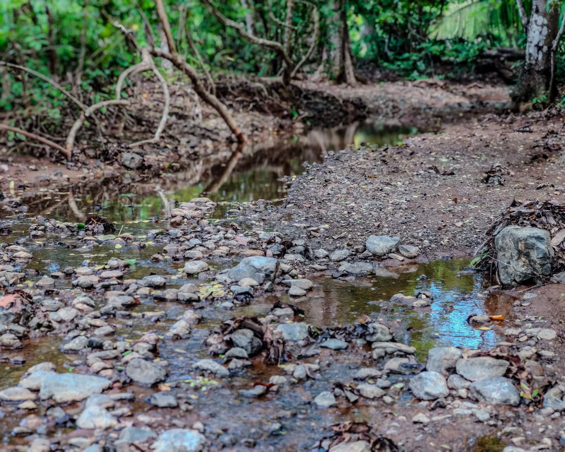 Rivière cristalline sur la propriété rivière aux eaux cristallines bordant le lot Rio Escondido, Costa Rica