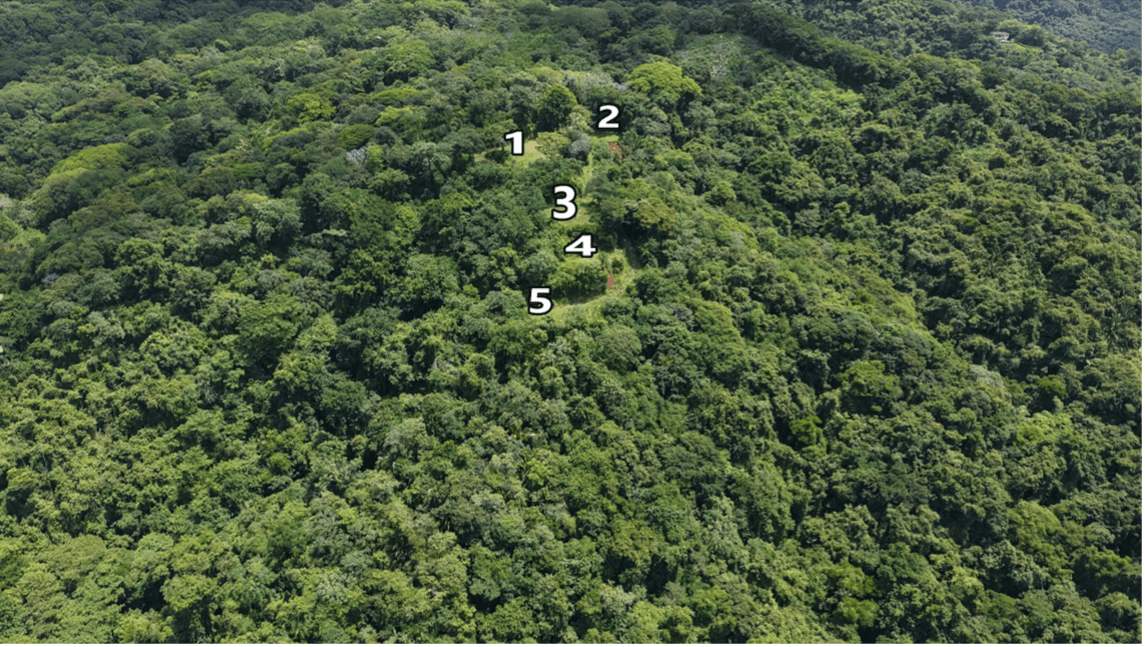 Finca Refugio Verde Zones de construction aériennes zones constructibles finca refugio verde terrain avec vue sur l’océan