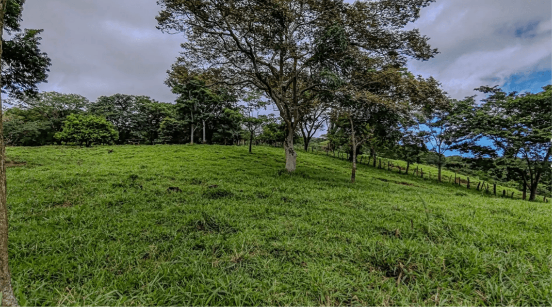 Finca Vues sur la Mer Pâturage ouvert finca de pâturage ouvert avec vue sur la mer, Costa Rica