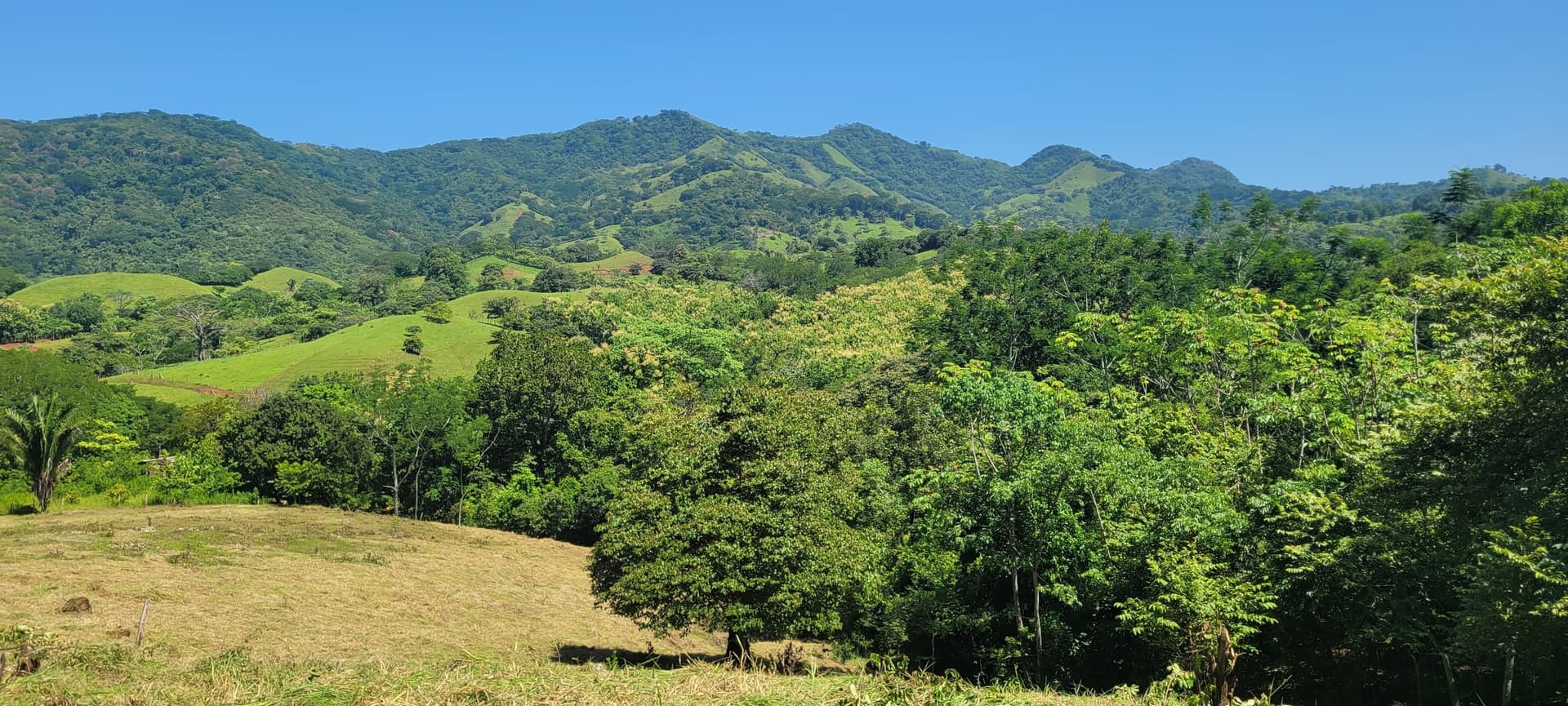 Ferme de cocotiers avec vue sur la montagne vue sur les montagnes depuis le terrain coconut farm samara nicoya