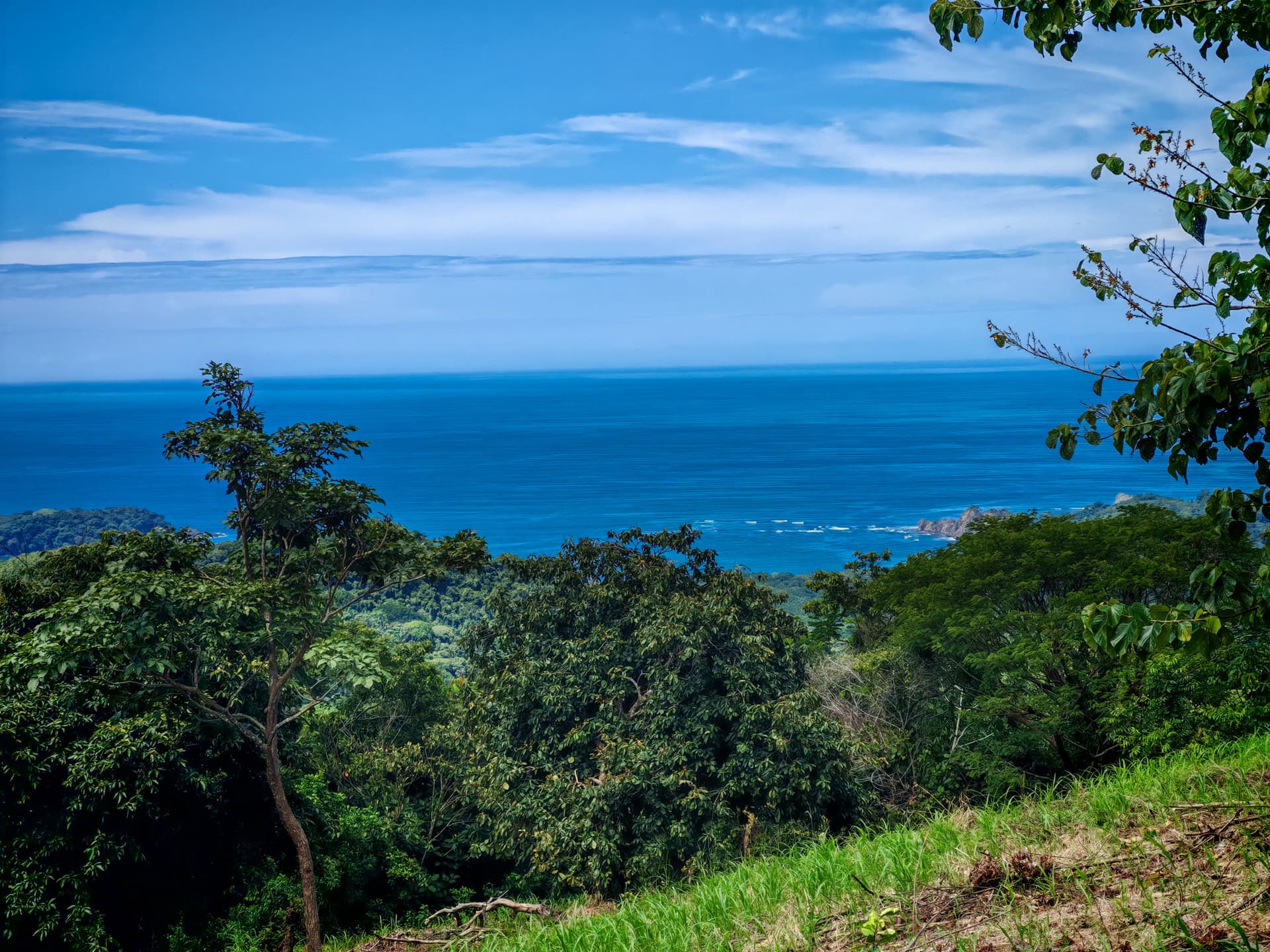 Vue sur l’océan depuis la propriété vue sur la mer depuis la finca La Catarata avec végétation et horizon
