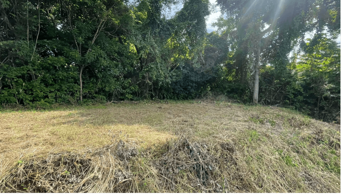 Propriété Bosque Torito à vendre, à Sámara, au Costa Rica Propriété Bosque Torito à vendre, à Sámara, au Costa Rica
