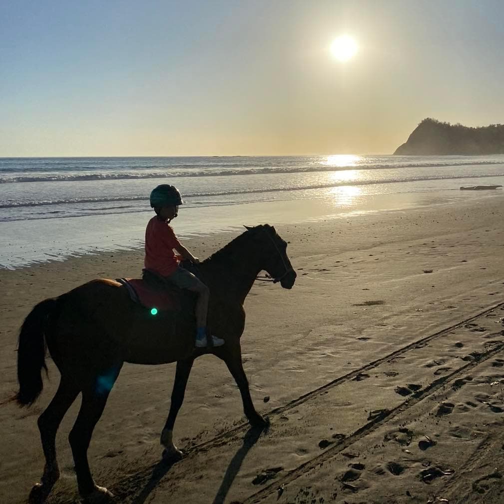 Équitation à la plage de Samara visite à cheval sur la plage de Samara, Costa Rica, Vista Nomadica