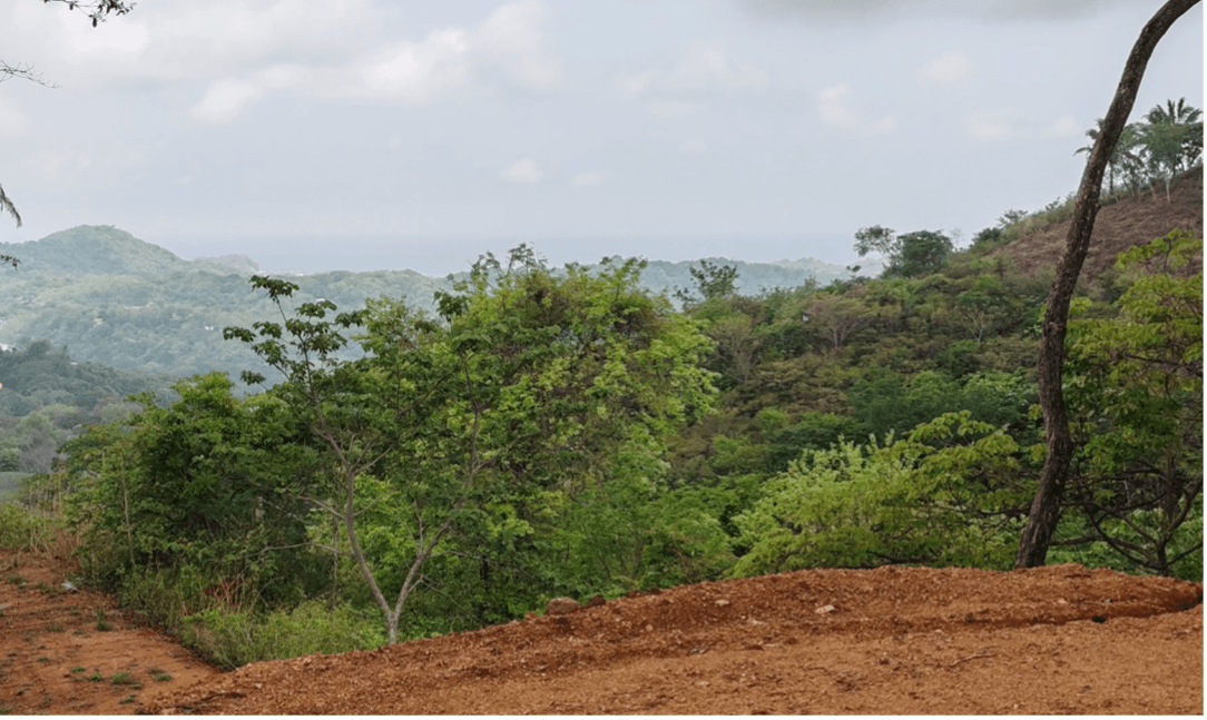 Lot 25 Défrichement avec vue sur l’océan terrain dégagé avec vue sur l’océan lot 25 projet montaña