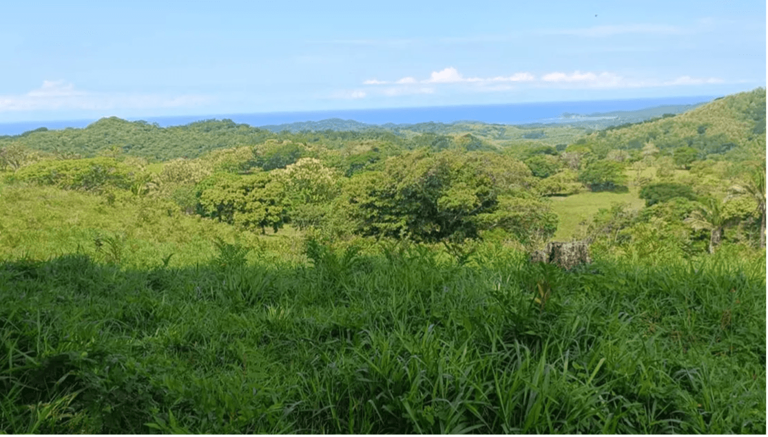 Propriété El Silencio, à vendre à Sámara, au Costa Rica Propriété El Silencio, à vendre à Sámara, au Costa Rica