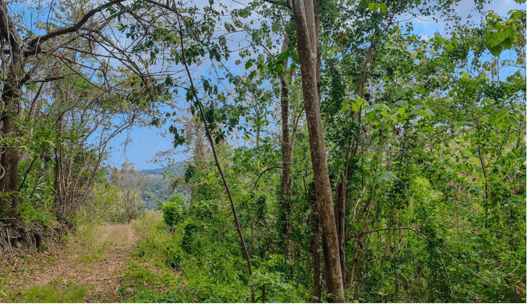 Propriété Montaña Verde, à vendre à Sámara, au Costa Rica Propriété Montaña Verde, à vendre à Sámara, au Costa Rica