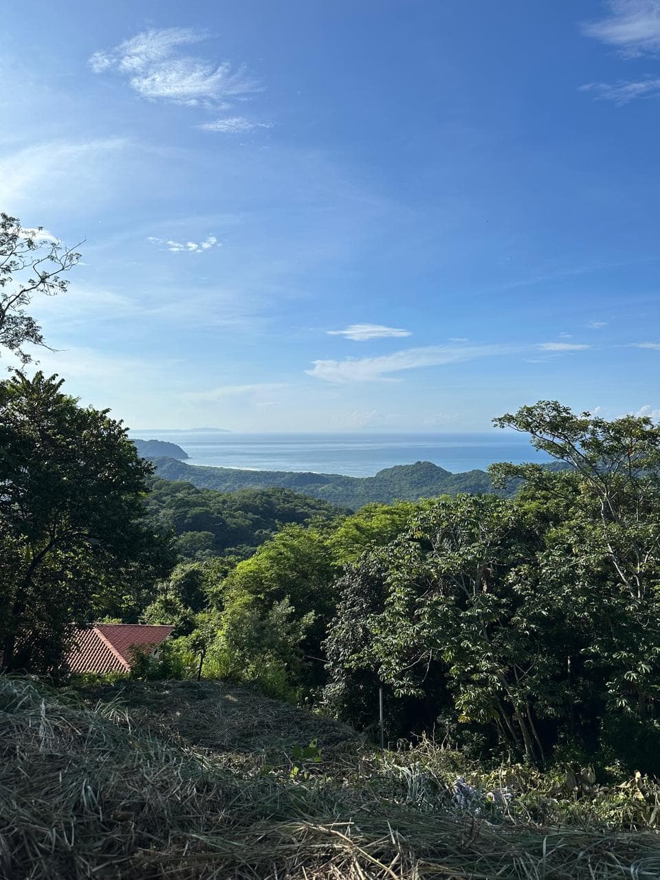 Terrain avec vue sur la mer, à vendre à Puerto Carrillo, Guanacaste, Costa Rica Terrain avec vue sur la mer, à vendre à Puerto Carrillo, Guanacaste, Costa Rica