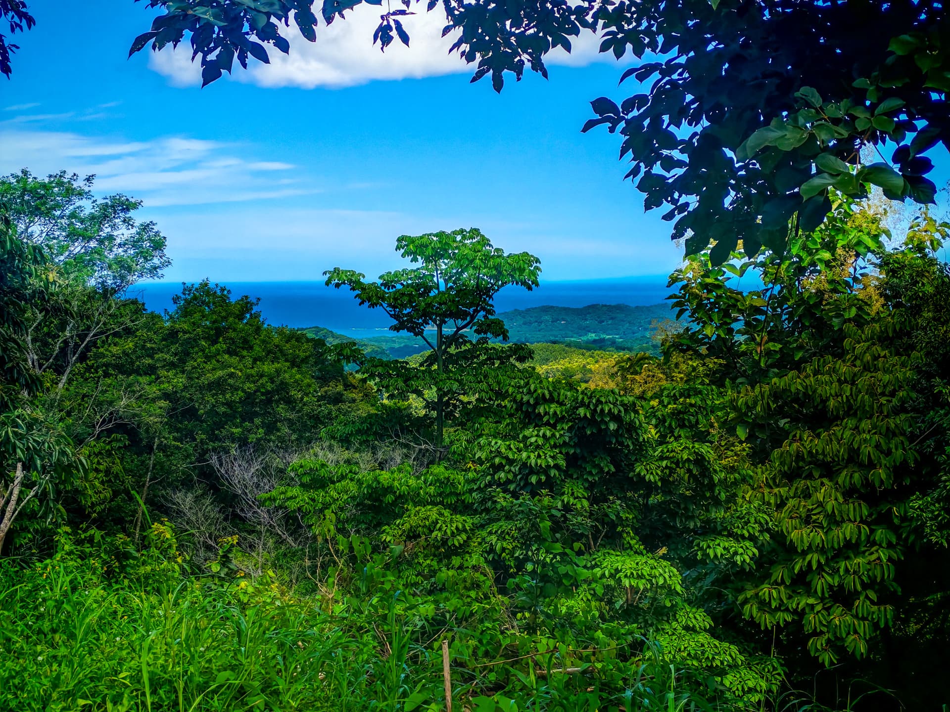 Vue sur l’océan et la forêt vue combinée sur la mer et la forêt depuis la finca la catarata, guanacaste
